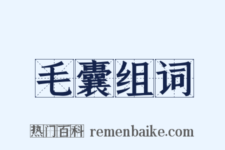毛囊组词是什么意思的图片